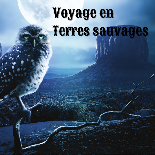 Roman de western fantasy
